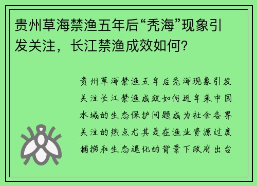 贵州草海禁渔五年后“秃海”现象引发关注，长江禁渔成效如何？